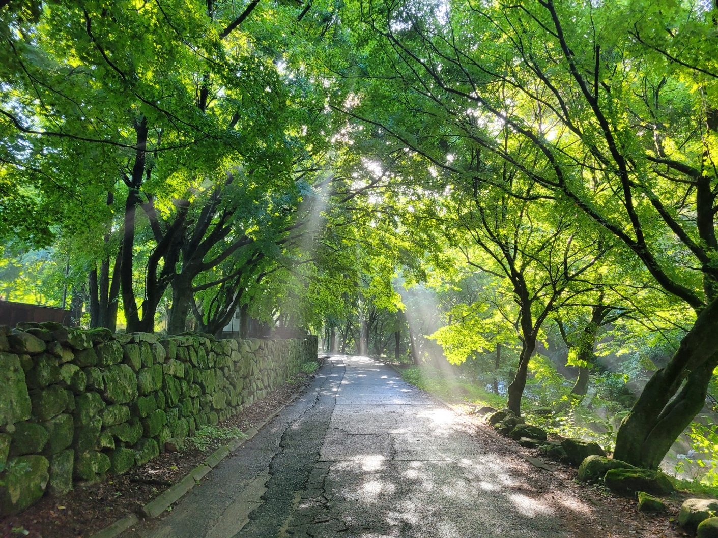 KakaoTalk_20250228_151350441.jpg 이미지