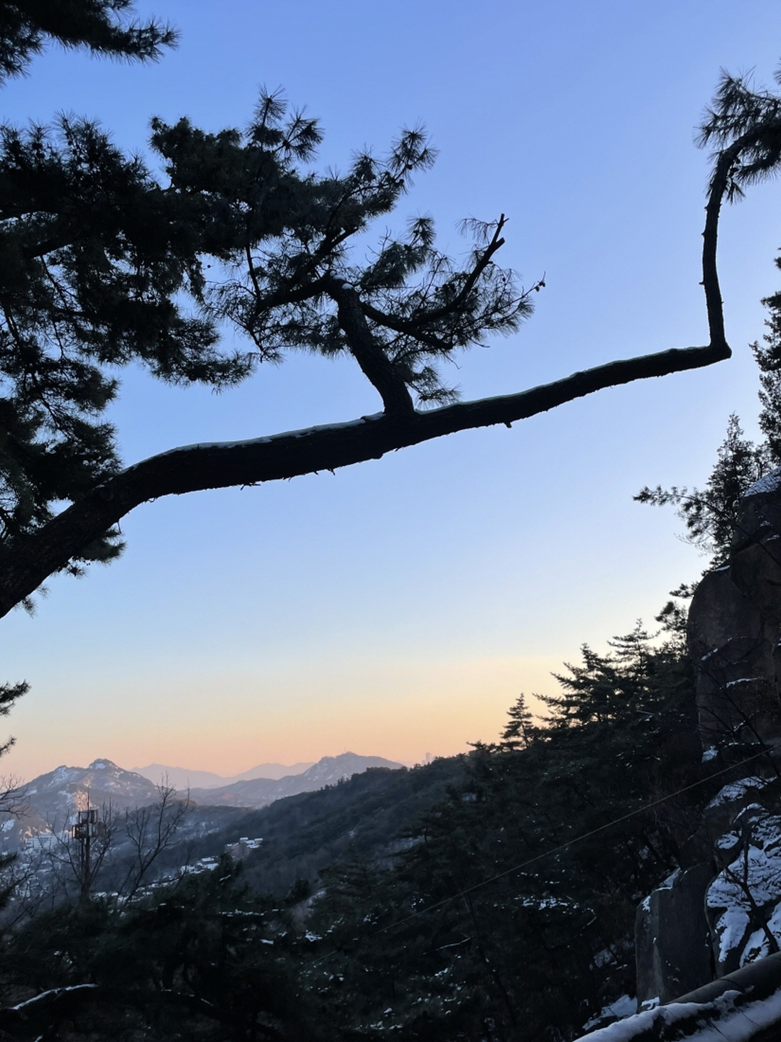 [꾸미기]KakaoTalk_20250319_133823198.jpg 이미지