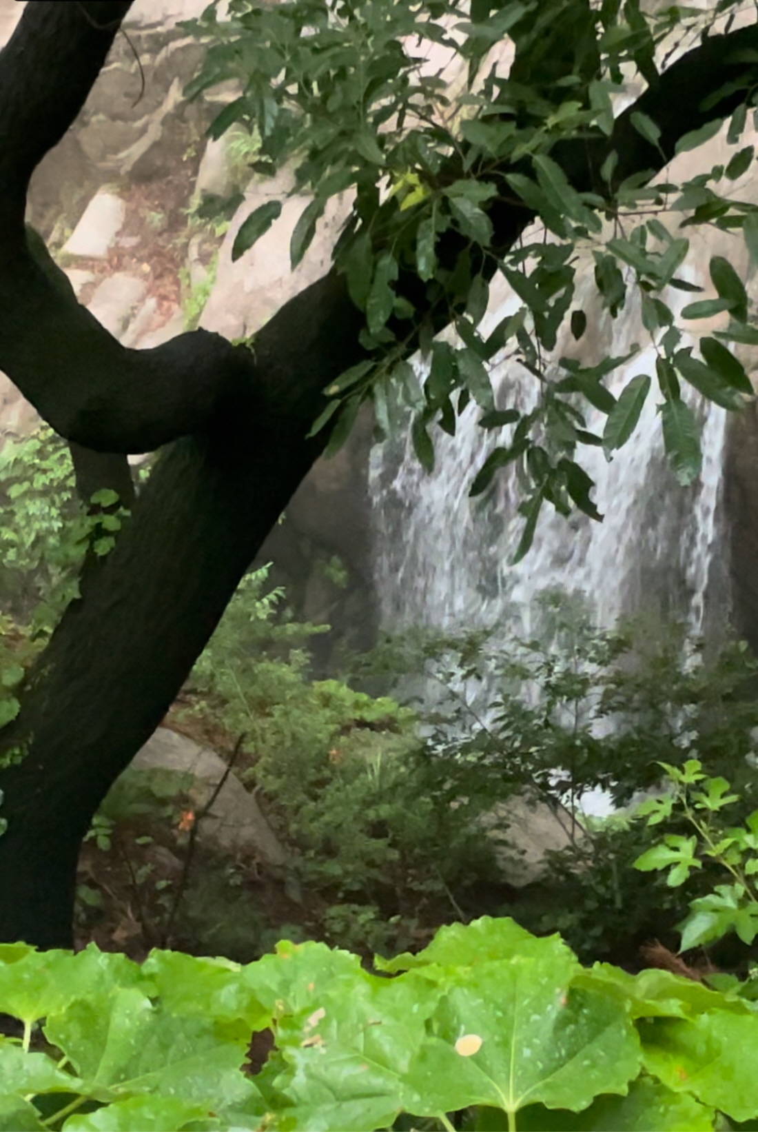 [꾸미기]KakaoTalk_20250621_200934954_01.jpg 이미지