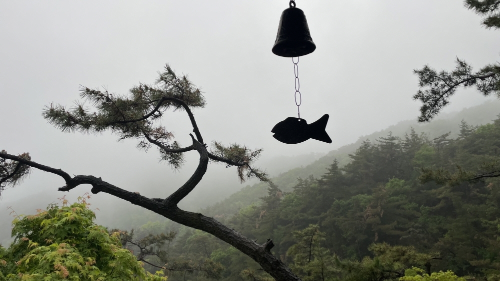 [꾸미기]KakaoTalk_20250614_161805344_13.jpg 이미지