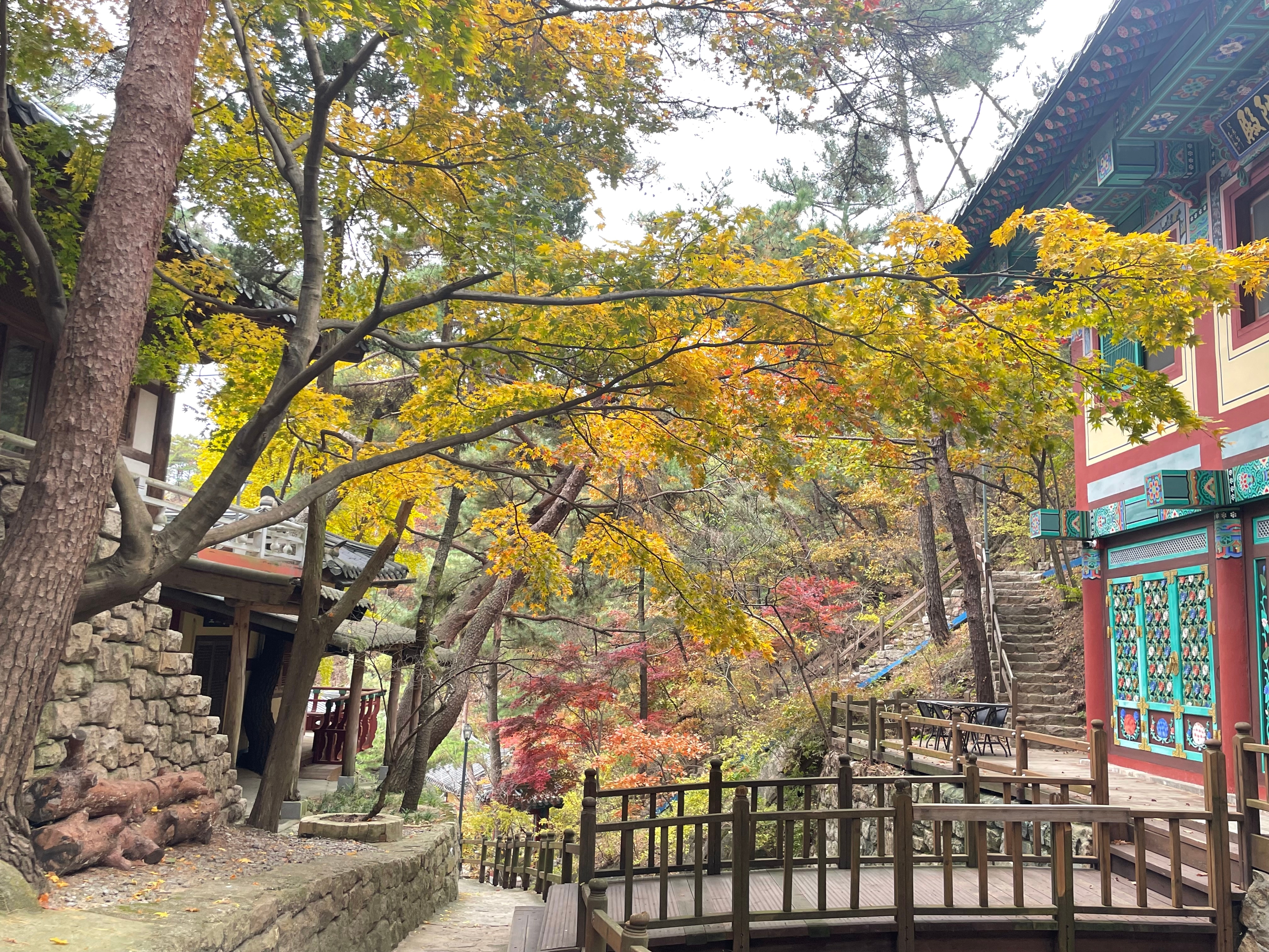 KakaoTalk_20251108_152355162_04.jpg 이미지