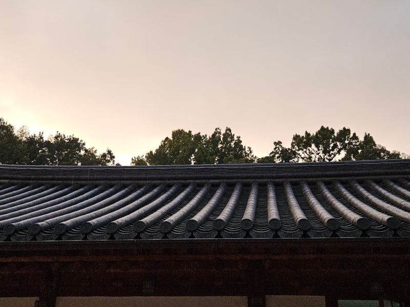 KakaoTalk_20251101_181746245_03.jpg 이미지