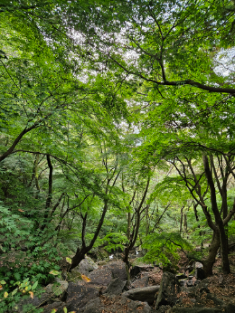 KakaoTalk_20251015_125458261.png 이미지