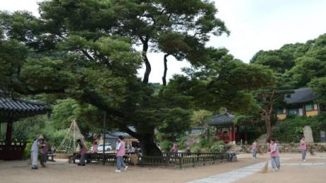 IMG_0733.JPG 이미지