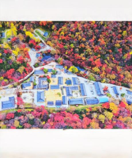 가을 백양사 단풍.jpg 이미지