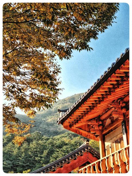 KakaoTalk_20250925_164014584_04.jpg 이미지