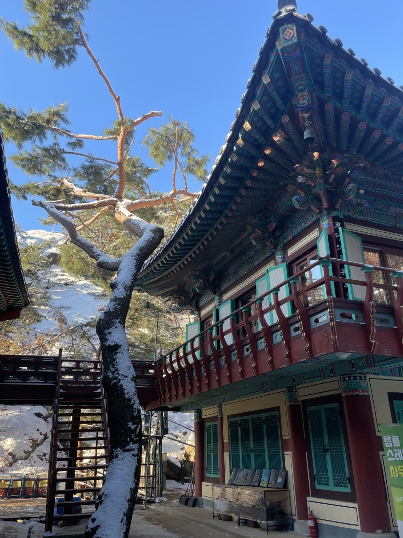 [꾸미기]KakaoTalk_20251206_095710492_03.jpg 이미지