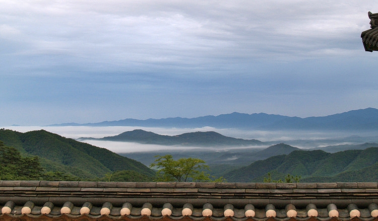 3555005074_f094aa88_029.jpg 이미지