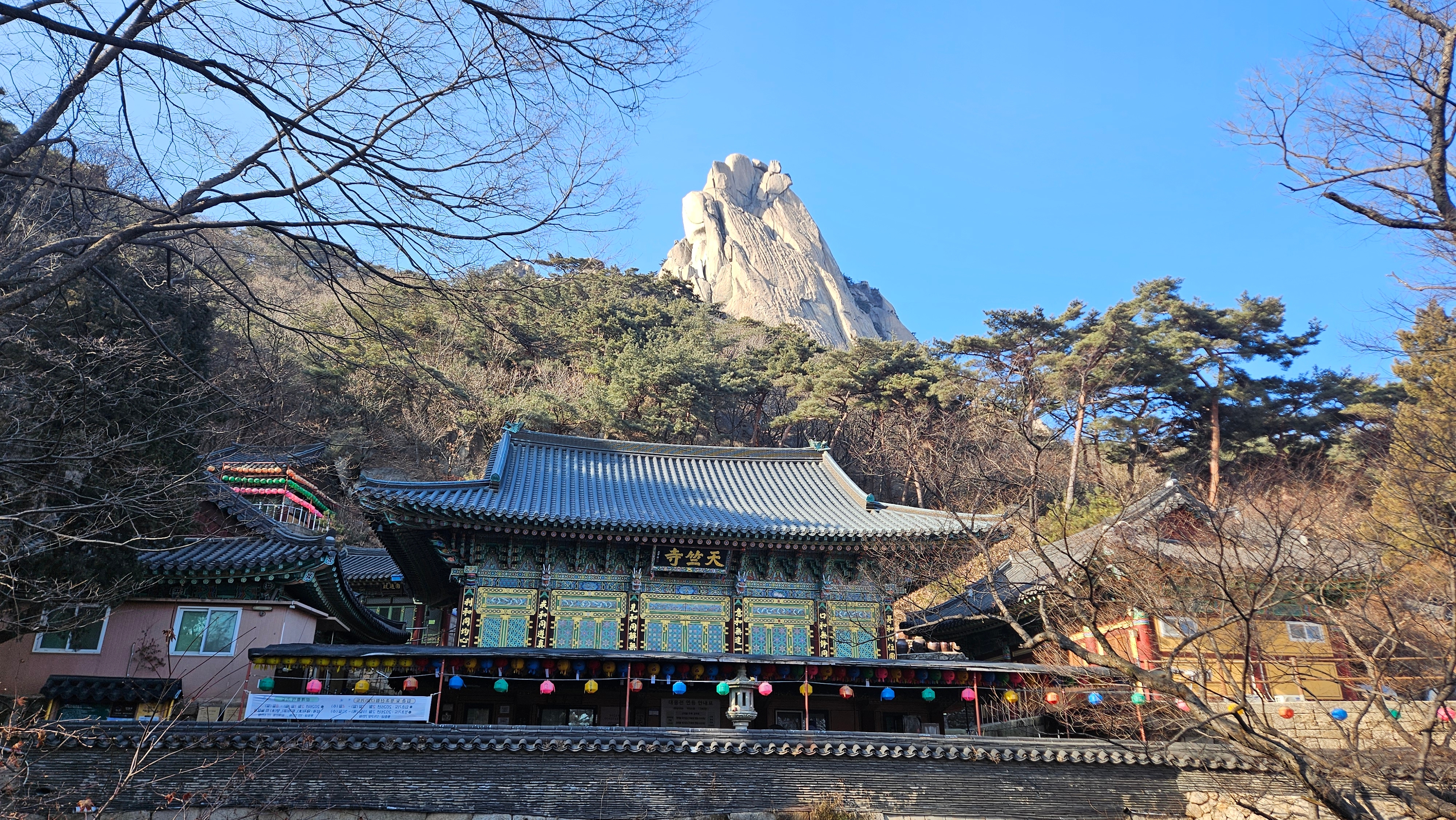 KakaoTalk_20260223_090239566.jpg 이미지