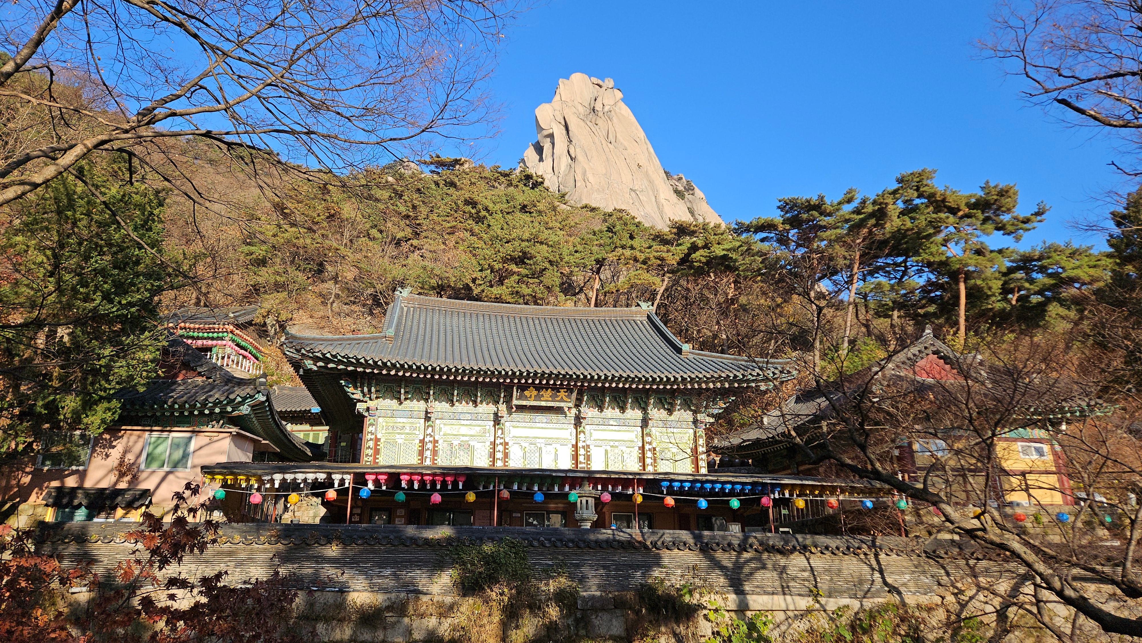 KakaoTalk_20260223_090239566_04.jpg 이미지