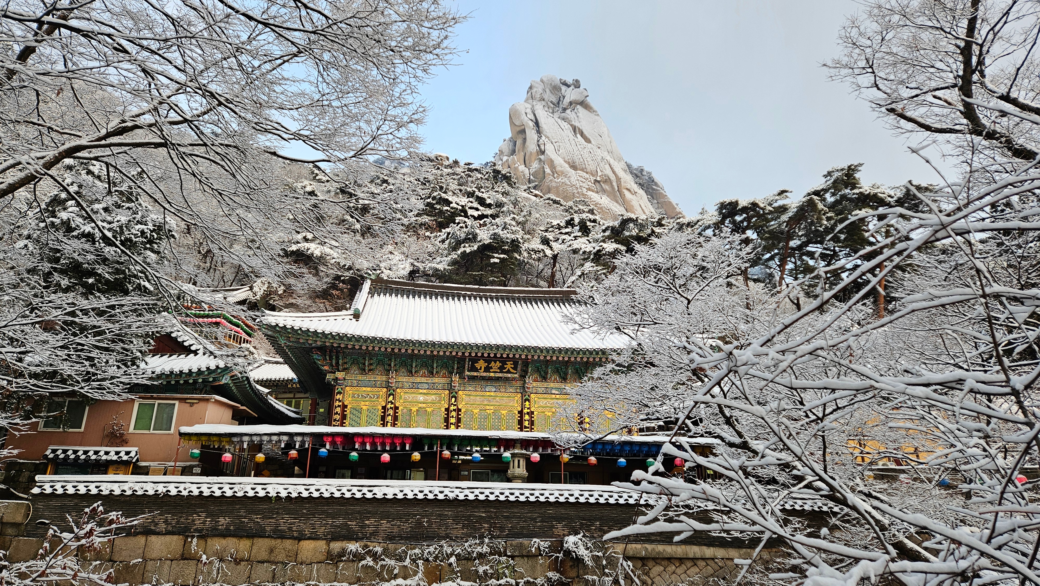 KakaoTalk_20260223_090239566_02.jpg 이미지