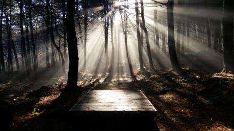 힐링1_0.jpg 이미지