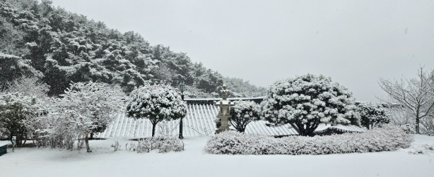 20250127_081137.png 이미지