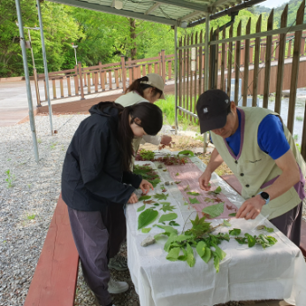 KakaoTalk_20250508_170635904_04.png 이미지