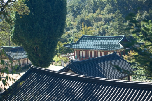 DSC07933.jpg 이미지