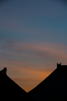 IMG_0111.png 이미지