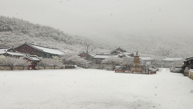 20250127_080045.png 이미지