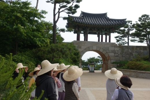 DSC00010.JPG 이미지