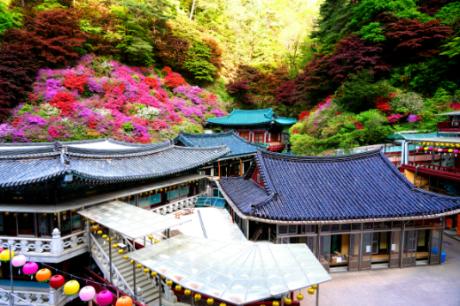 3월 삼보당(3).JPG 이미지