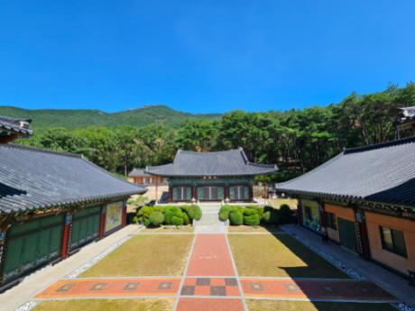 20240919_113546.jpg 이미지