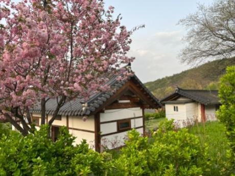 KakaoTalk_20250516_225848526_13.jpg 이미지