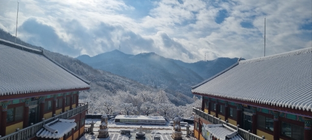 KakaoTalk_20260103_065148351_01.jpg 이미지