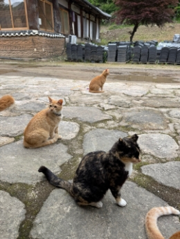 KakaoTalk_20250526_175348616_04.jpg 이미지