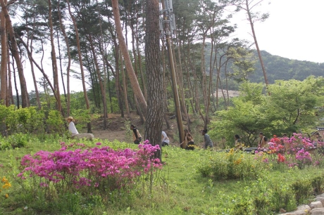 무제_0.jpg 이미지